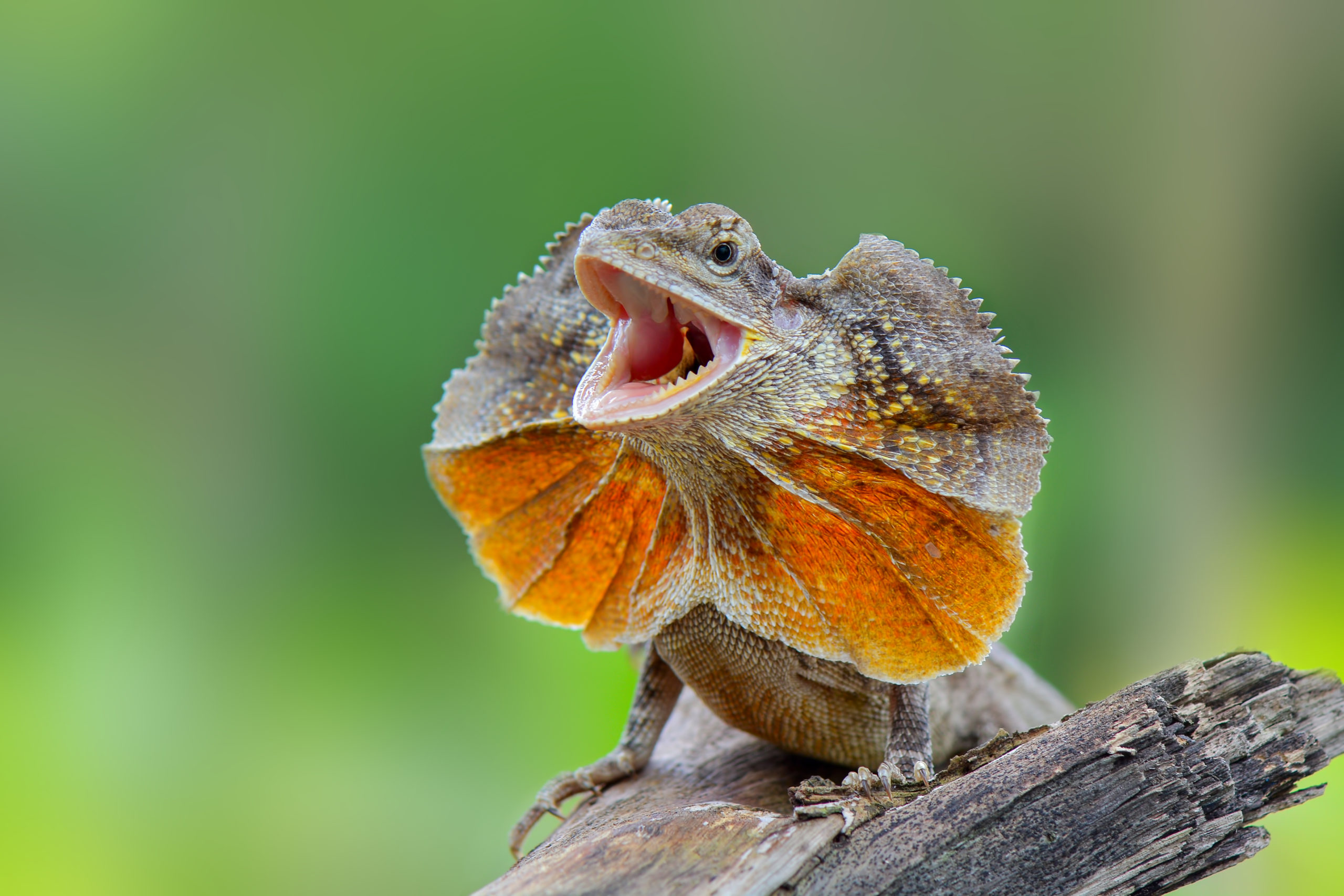 Civil RICO: A Blunt But Elusive Tool in Business Divorce Cases | New ...